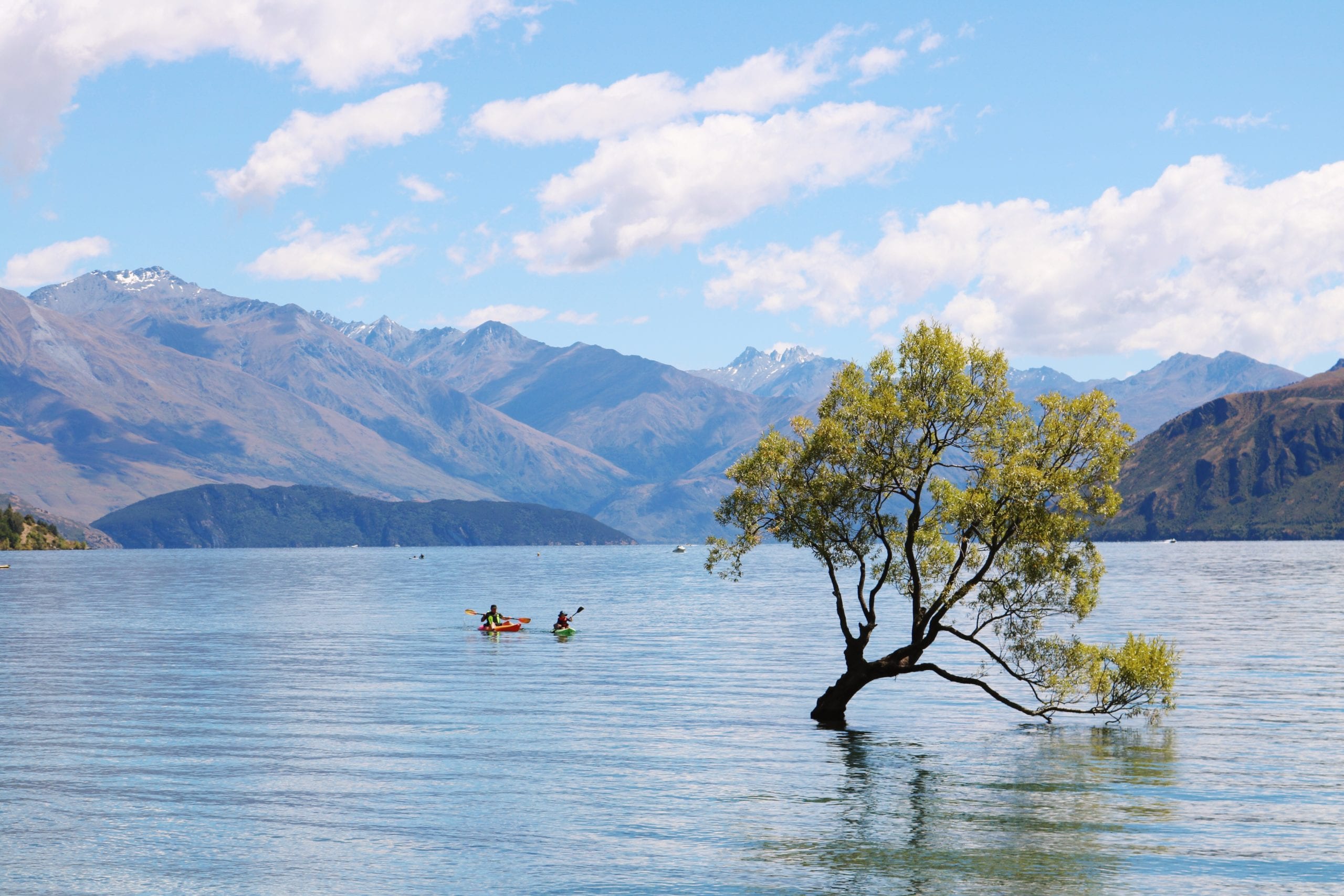 Photographing “That Wanaka Tree” in Wanaka, New Zealand